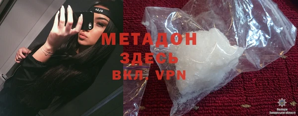 прущие грибы Вяземский