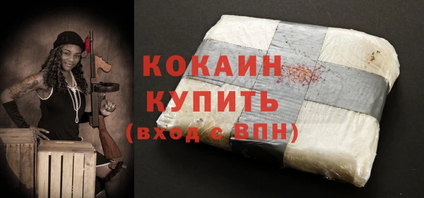 прущие грибы Вяземский