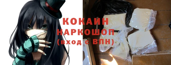 прущие грибы Вяземский