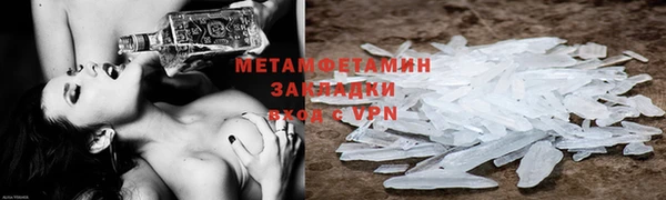 прущие грибы Вяземский