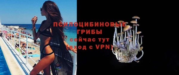 прущие грибы Вяземский