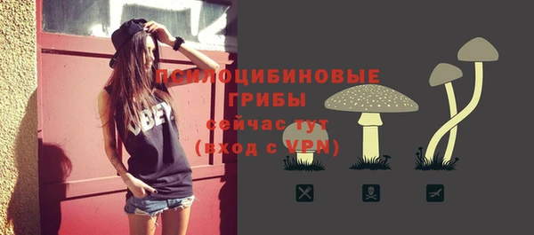 дурь Вязьма