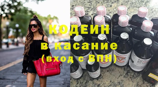 прущие грибы Вяземский