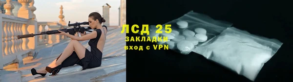 прущие грибы Вяземский