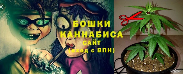 прущие грибы Вяземский