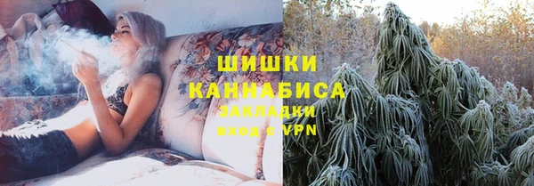 прущие грибы Вяземский