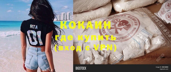 прущие грибы Вяземский
