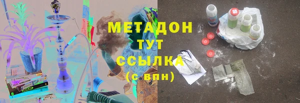 прущие грибы Вяземский